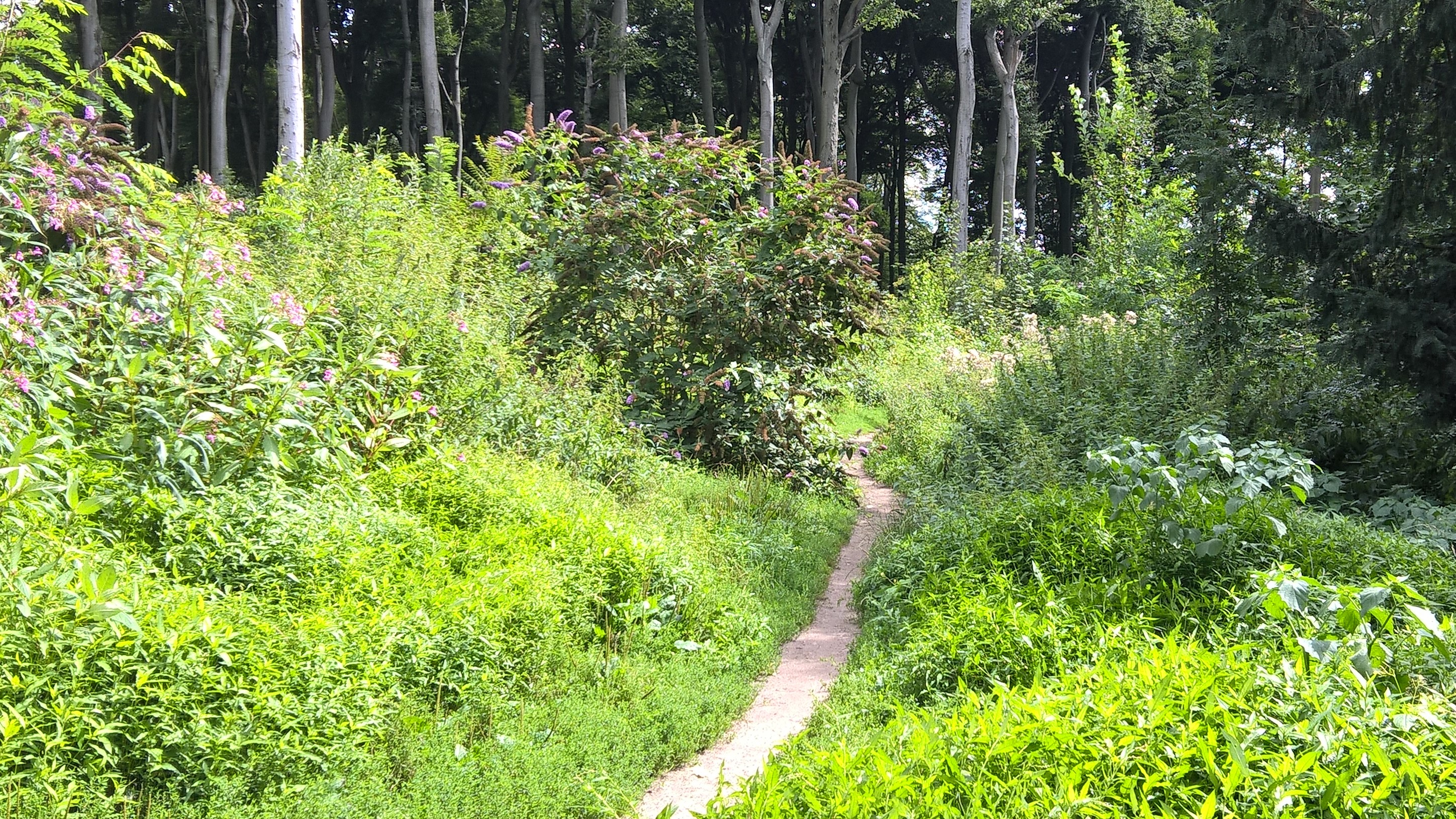 Wege aktiv begleiten